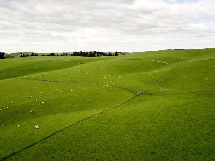 171 Monavale Road Albury_12