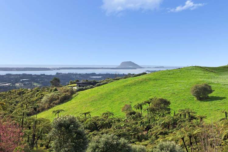 656a Minden Road Wairoa_29