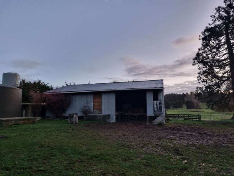 98 Fosters Road Cheviot_23