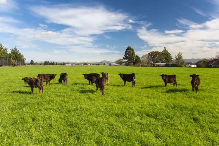 637 Tucker Road Hexton_7