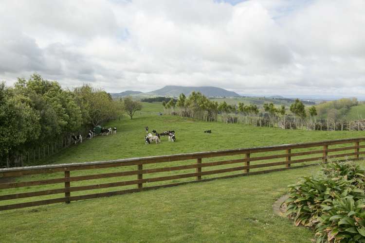 64 Oak Drive Wairakei and Surrounds_21