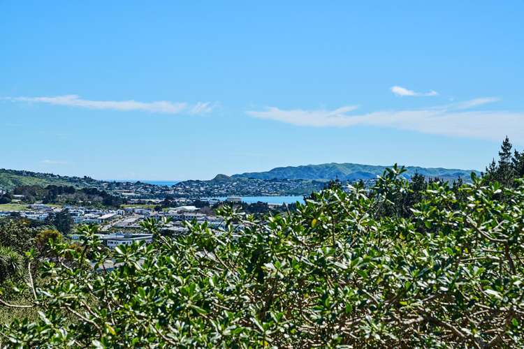 19 Rangatira Road Tawa_17