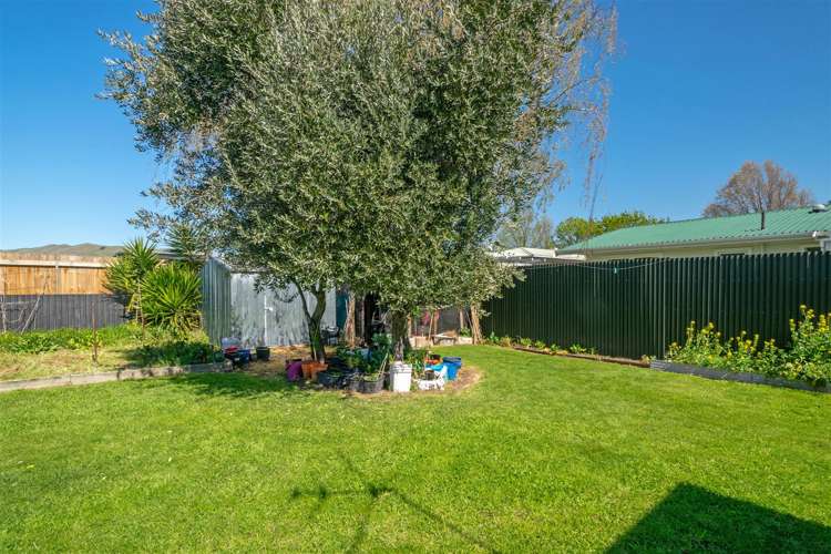 107 Redwood Street Redwoodtown_22