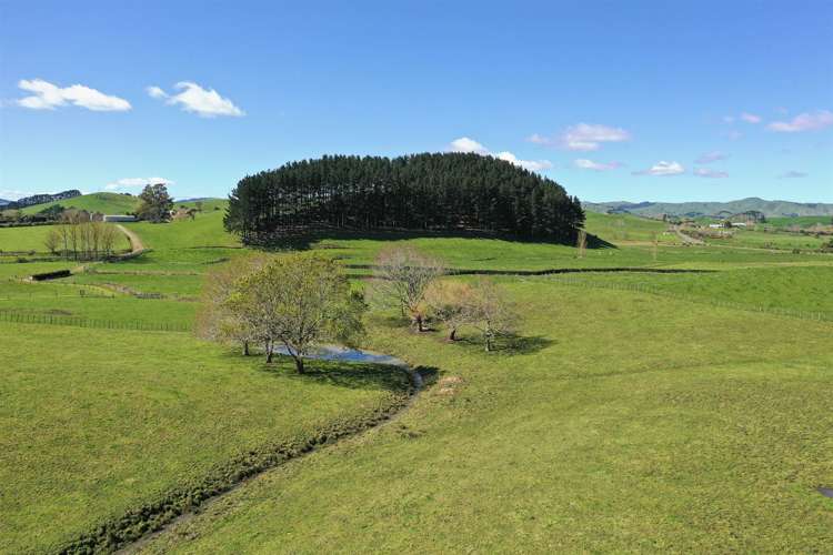 171 Martin Road Waerenga_34