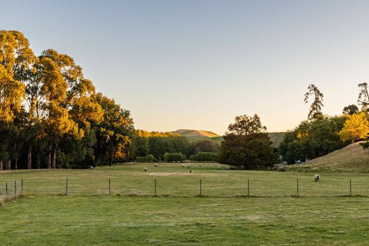 10 Charlton Road Te Awanga_38