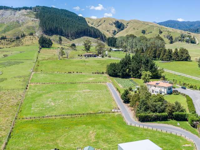 51 Gladstone Road Levin_1