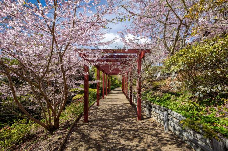 60 Brabant Drive Ruby Bay_28