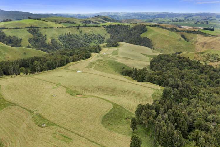 134 Millard Road Maihiihi_19