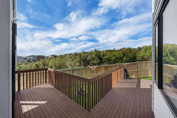 3 Verdant View Avenue Flat Bush_48