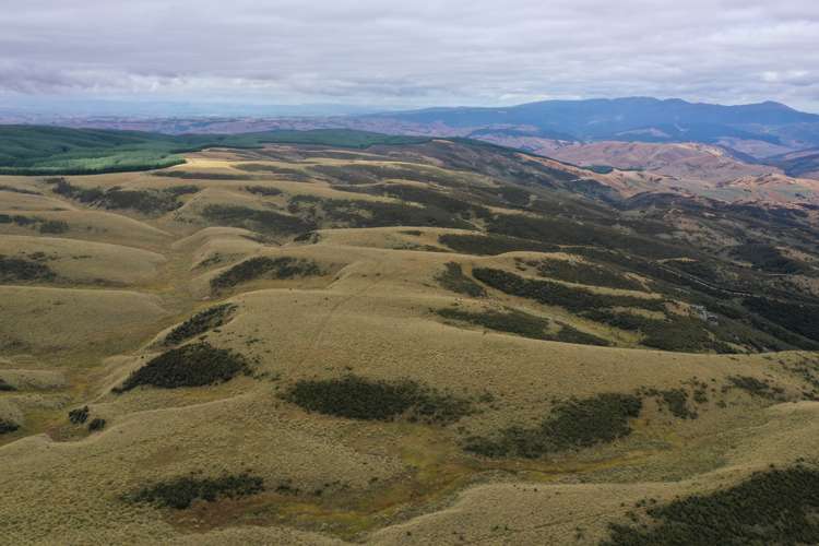 732 Beaumont Highway Clutha_19