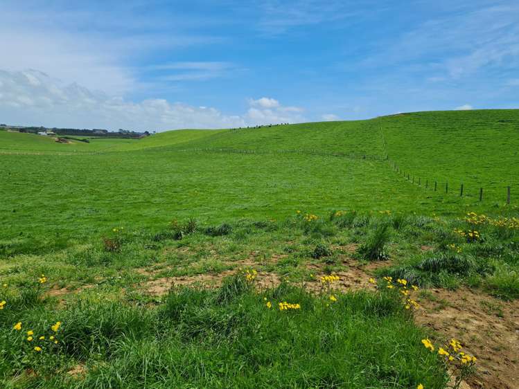 0n Upper Stuart Road_1