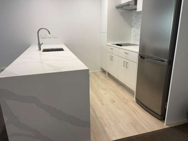 47 Hobson Street 10015_1