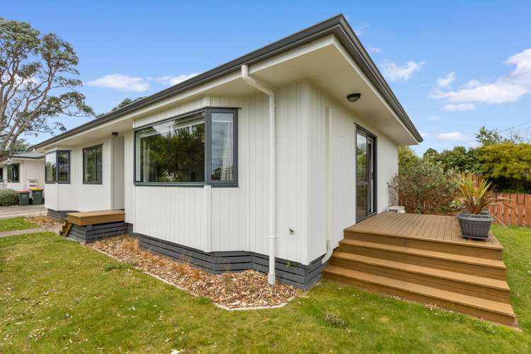 14a Omata Road Westown_17