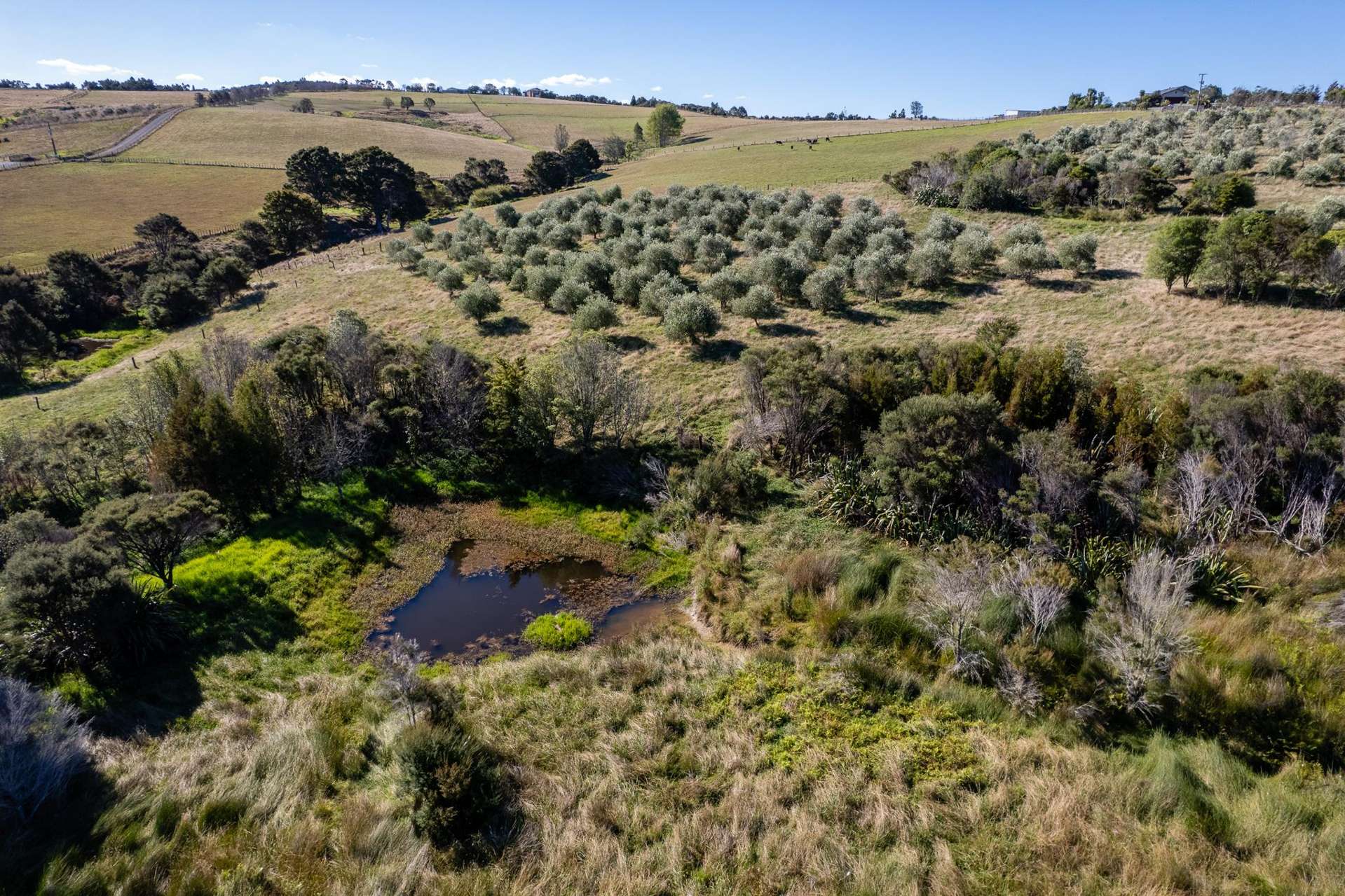 91 Keith Road and 587 Ormiston Road Ruakaka_0