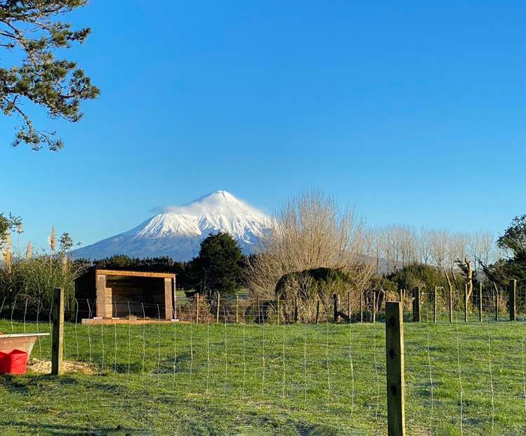 116 Clifford Road Eltham_43