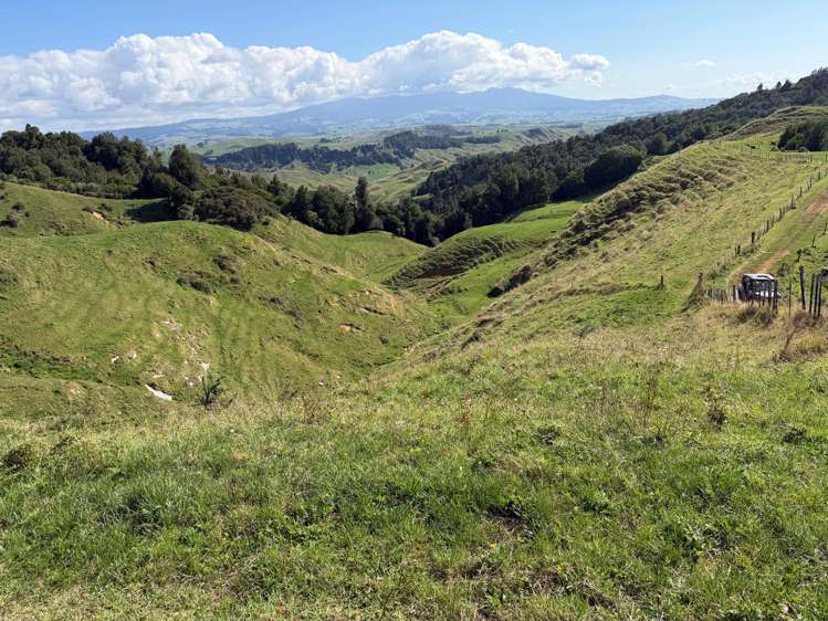 284 Owaikura Road Otorohanga_9