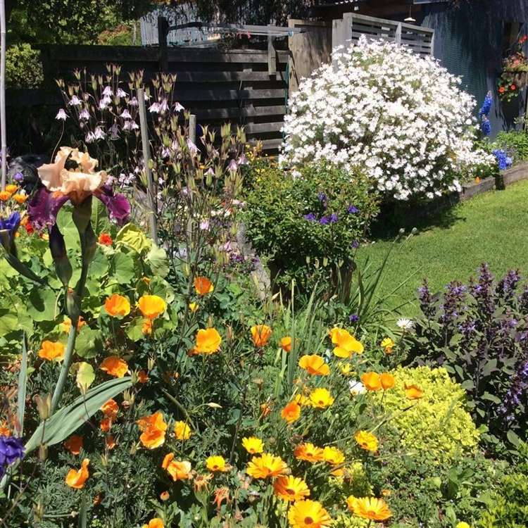 3 Viewlands Place Mapua_13