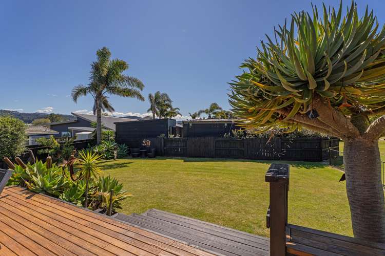 7 Ajax Head Pauanui_10