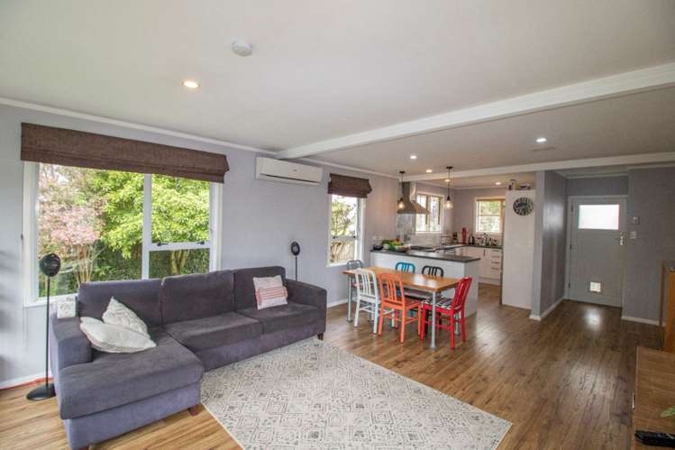 21 Rata Street Matamata_1