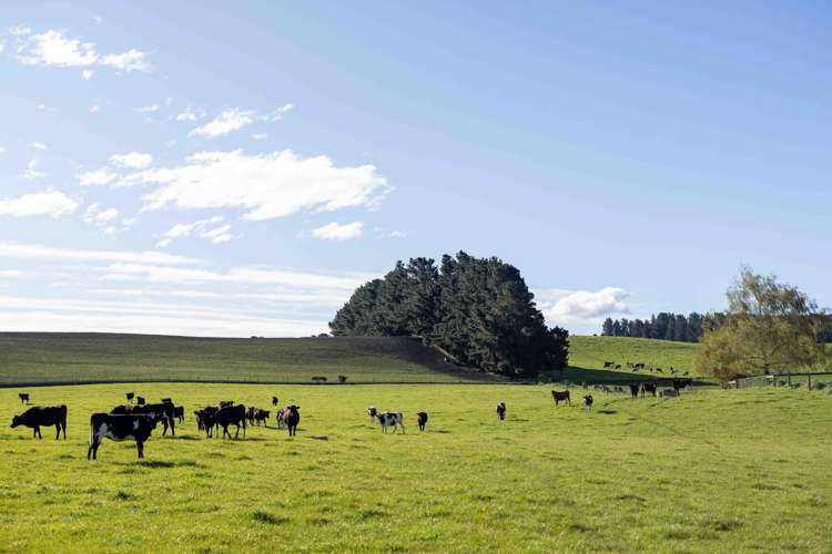 Rowallan Road Darfield_21