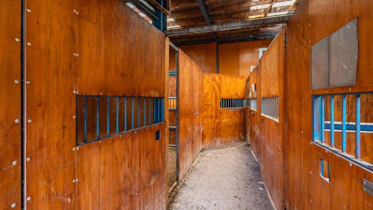 336 Spur Road Rosewill_27