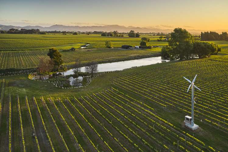 212 Selmes Road Rapaura_15