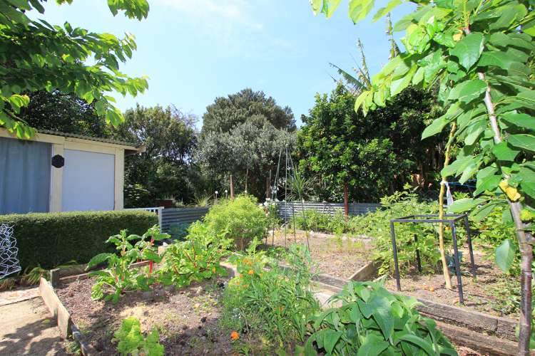 38 Holdaway Street Riversdale_15