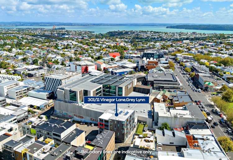 301/11 Vinegar Lane Grey Lynn_8