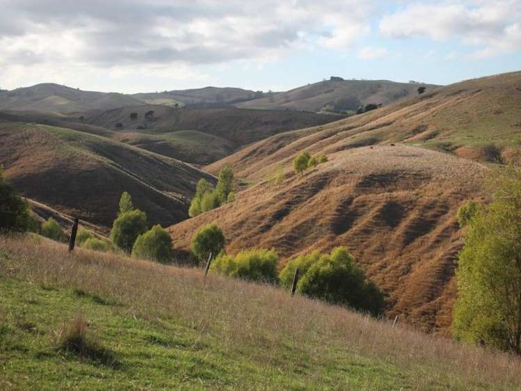 78 Bush Road Central Hawkes Bay Country_13