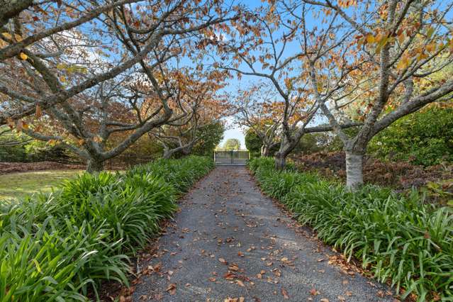 328 Newell Road Tamahere_2