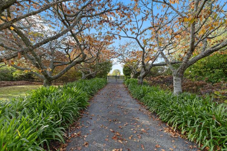 328 Newell Road Tamahere_1