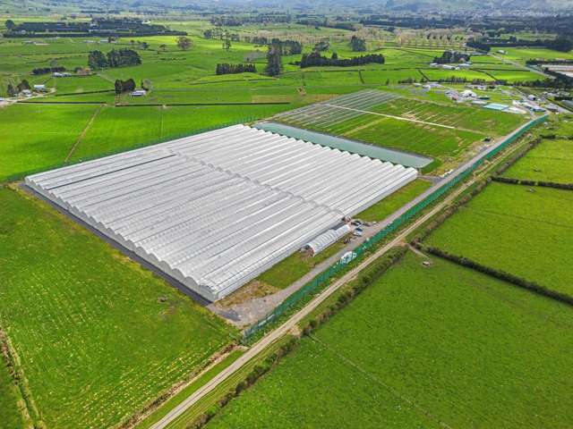 232 and 226 Trig Road South Waihi_2