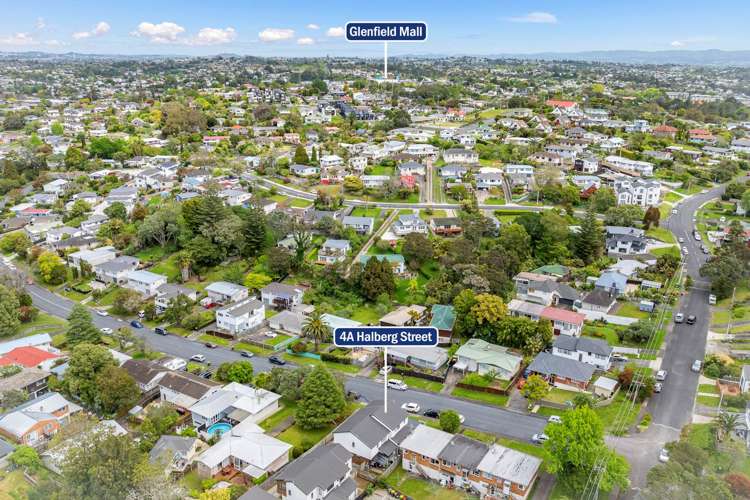 4a Halberg Street Glenfield_19