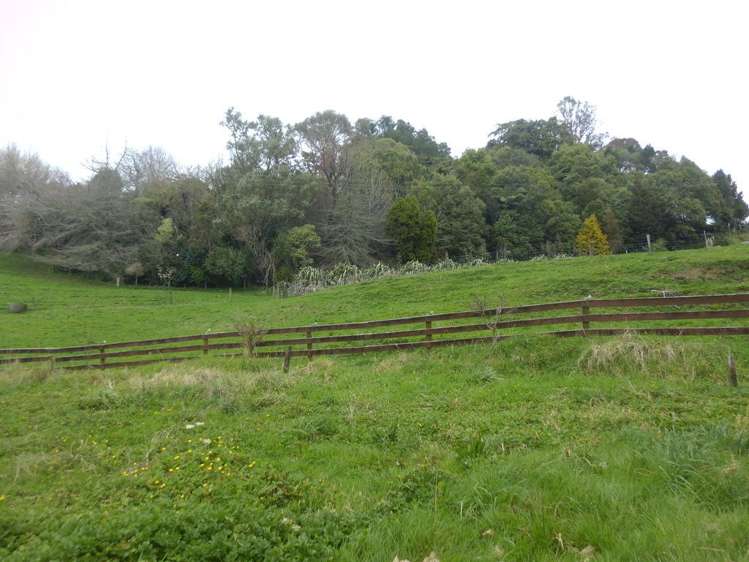 63 Oparure Road Te Kuiti_28