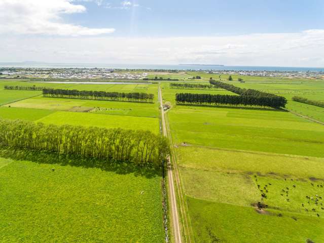 117 Bell Road Papamoa_4