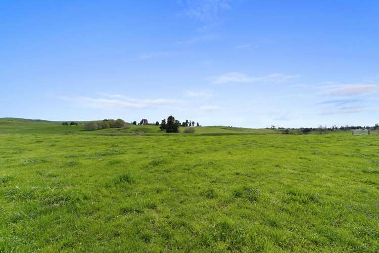 230 Scott Road Morrinsville_18