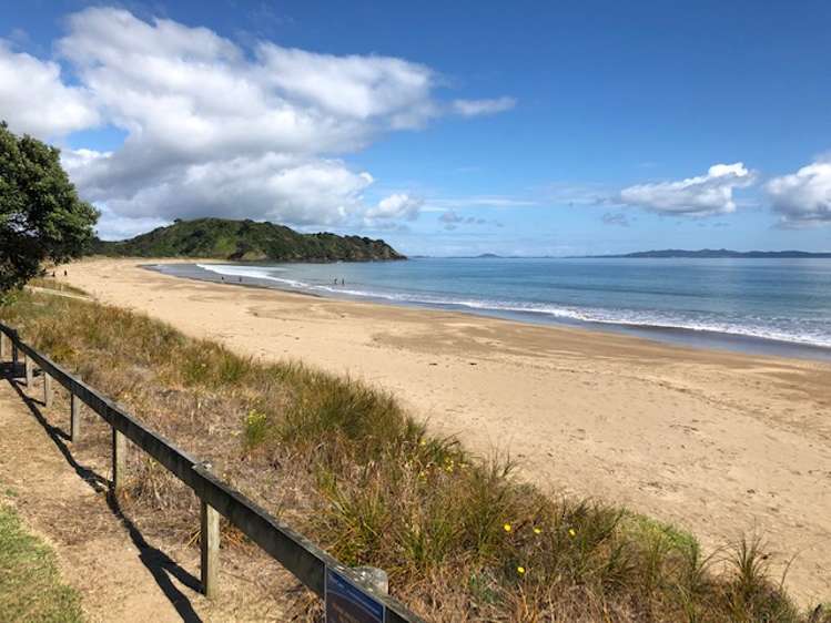 6 Flame Tree Lane Taipa_15