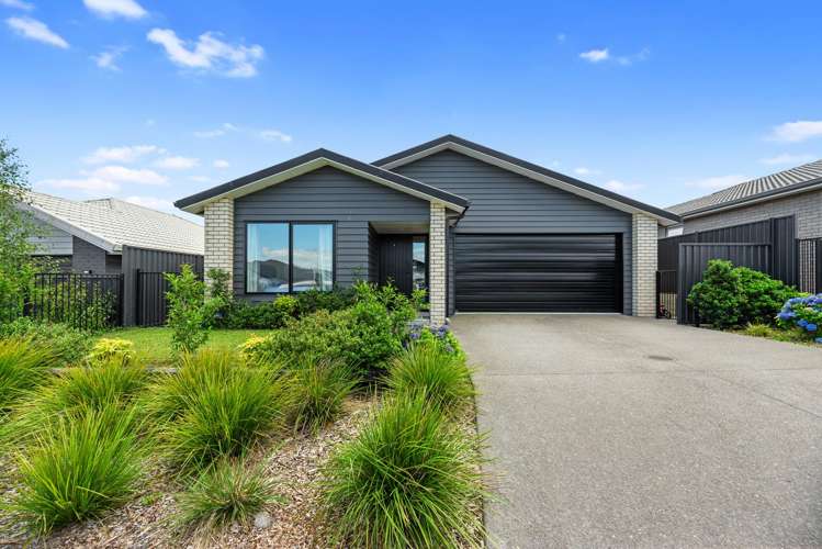 16 Pioneer Crescent Omokoroa_10