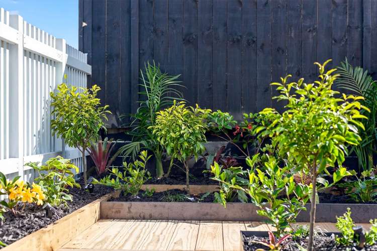 19 Habitat Place Hobsonville_9