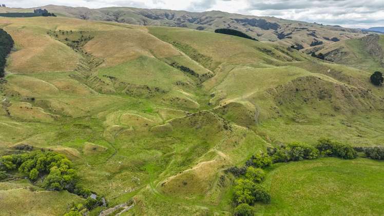 2 Cotswold Road Omihi_11