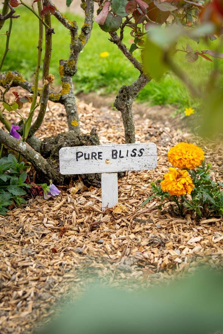 62 Ensign Street Halswell_22