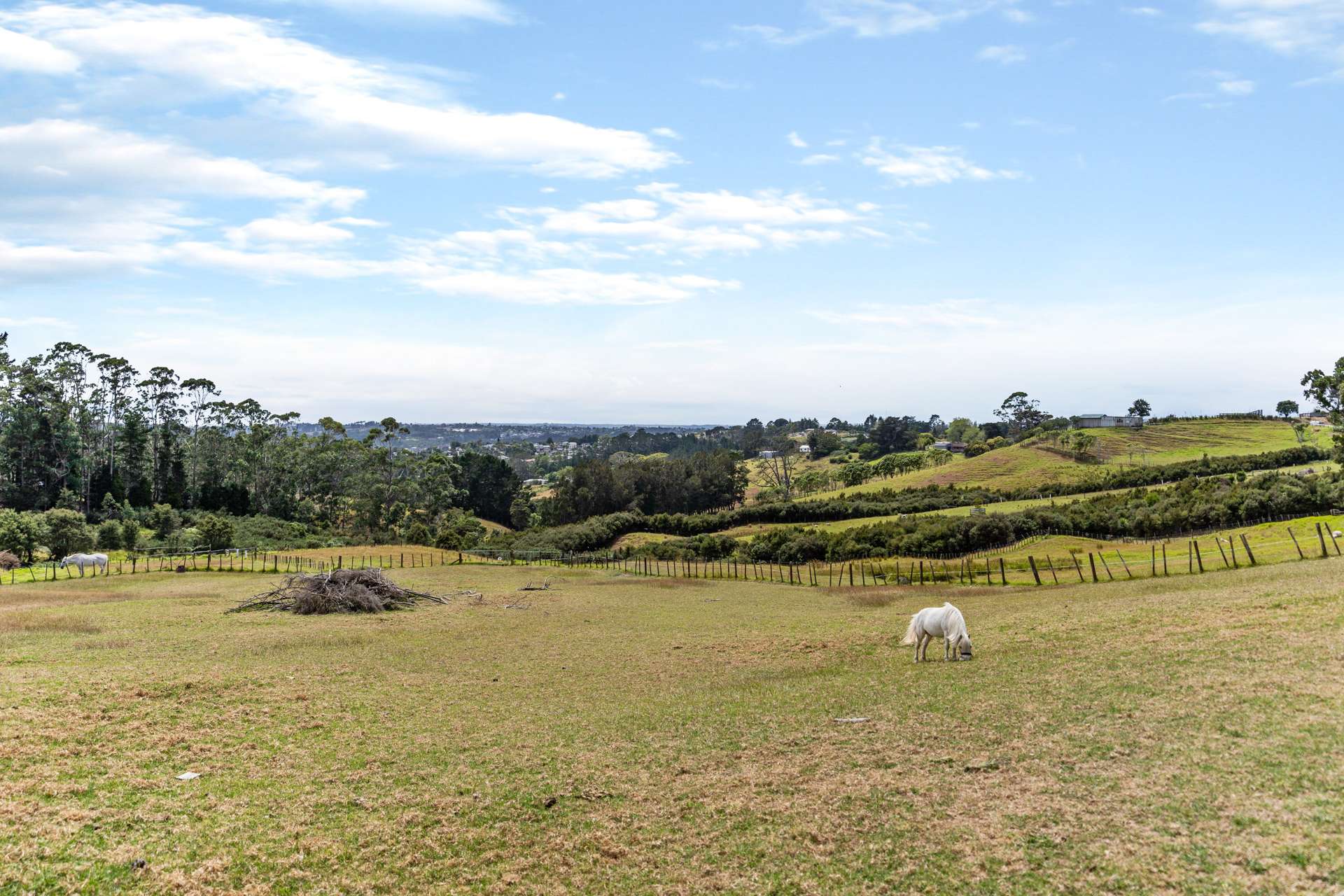 74 Coulter Road Henderson Valley_0