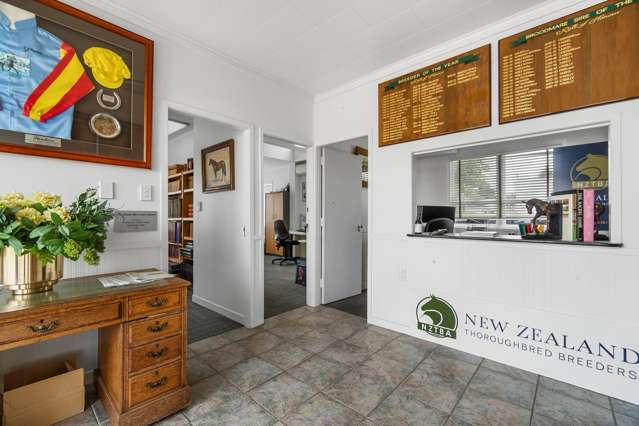 9 Anzac Street Cambridge_4