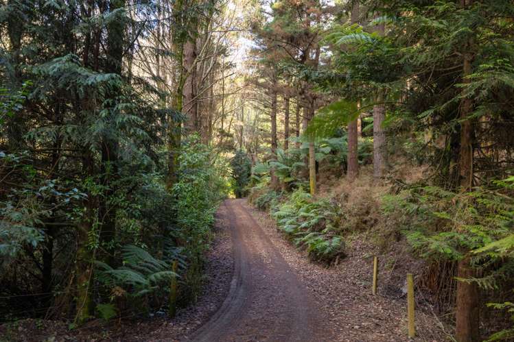 No 1 Line Pohangina_14