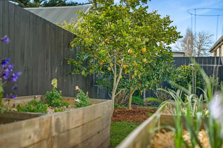 5 Rewa Street New Lynn_32