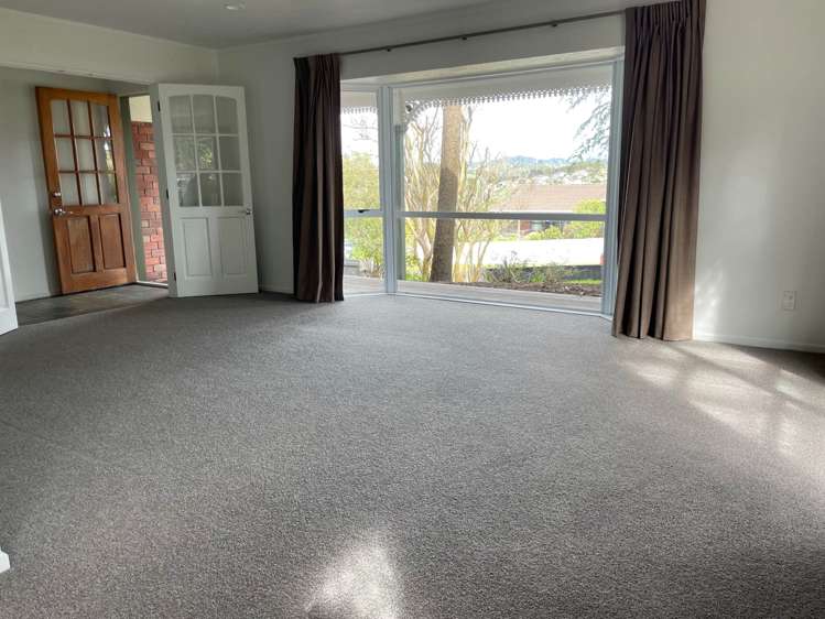 39 Palomino Drive Henderson_4