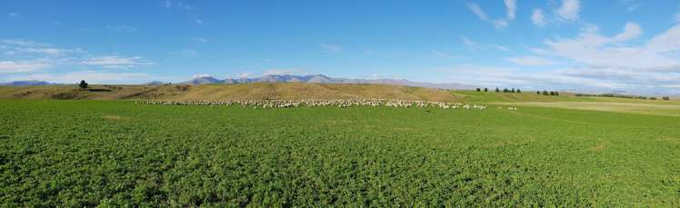 305 Bypass Road Ranfurly_30