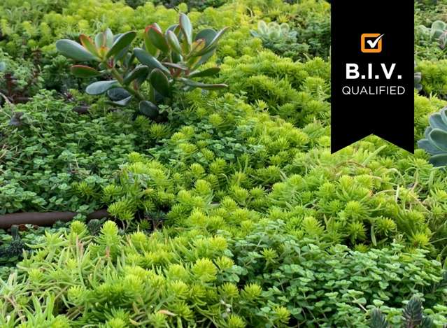 Address withheld Wellington Central_1