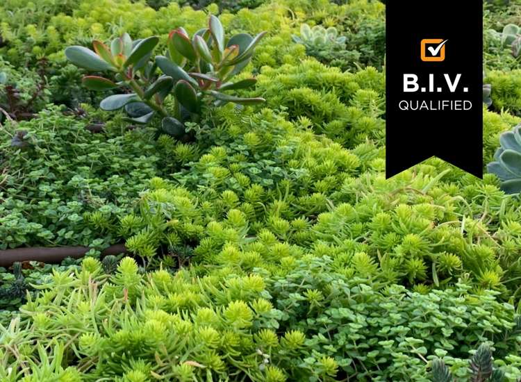 Address withheld Wellington Central_1