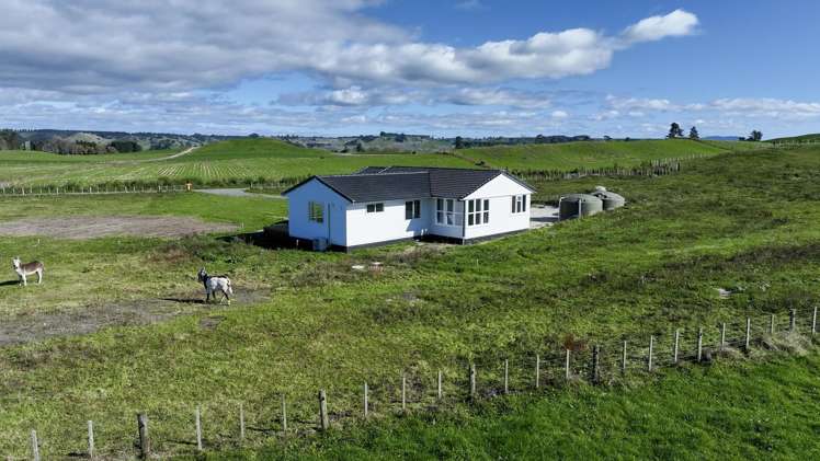 307B Gavin Road Rerewhakaaitu_20